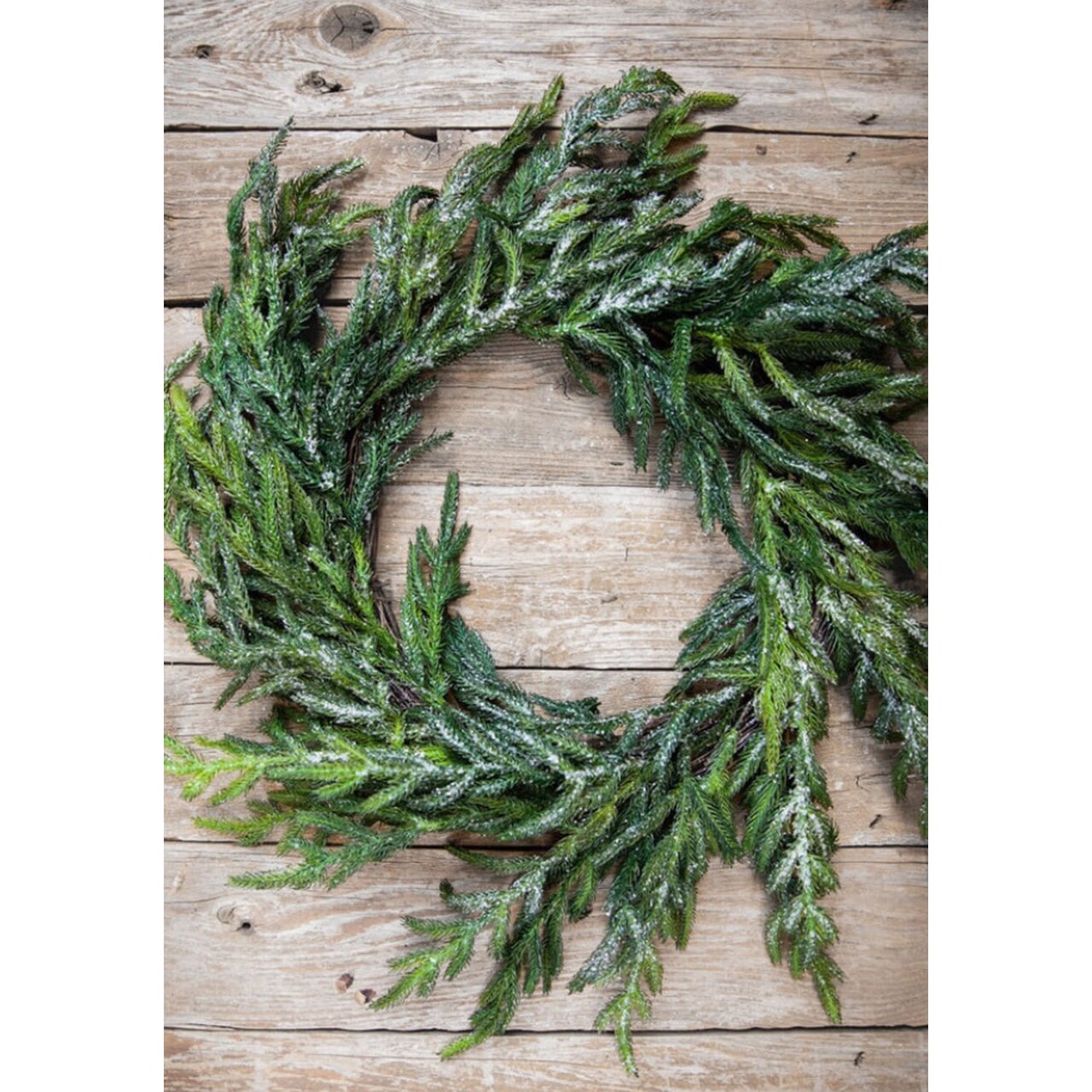 24” Iced Garden Norfolk Pine Wreath Elegant Frosted Holiday Decoration